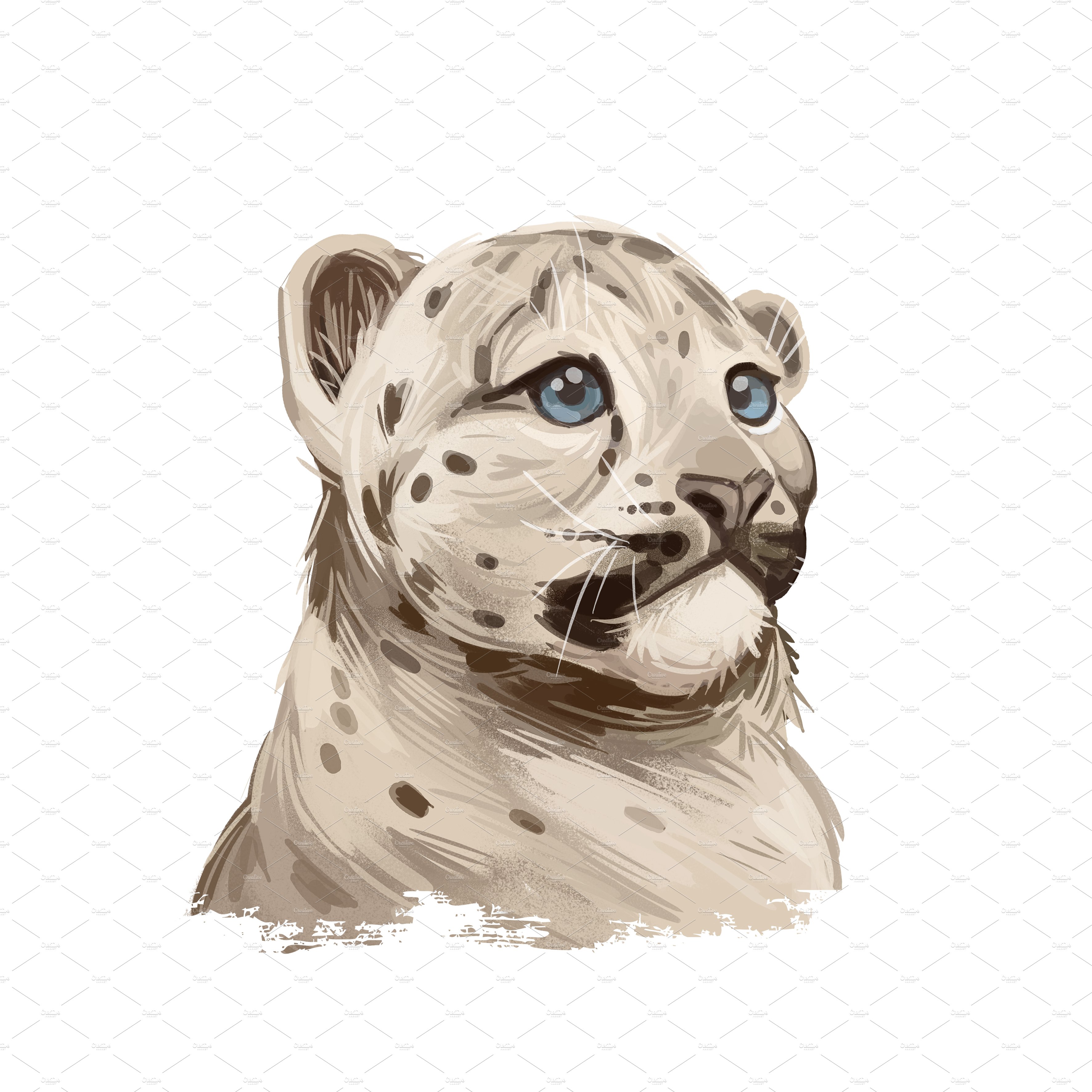 snow leopard baby 6 1 633