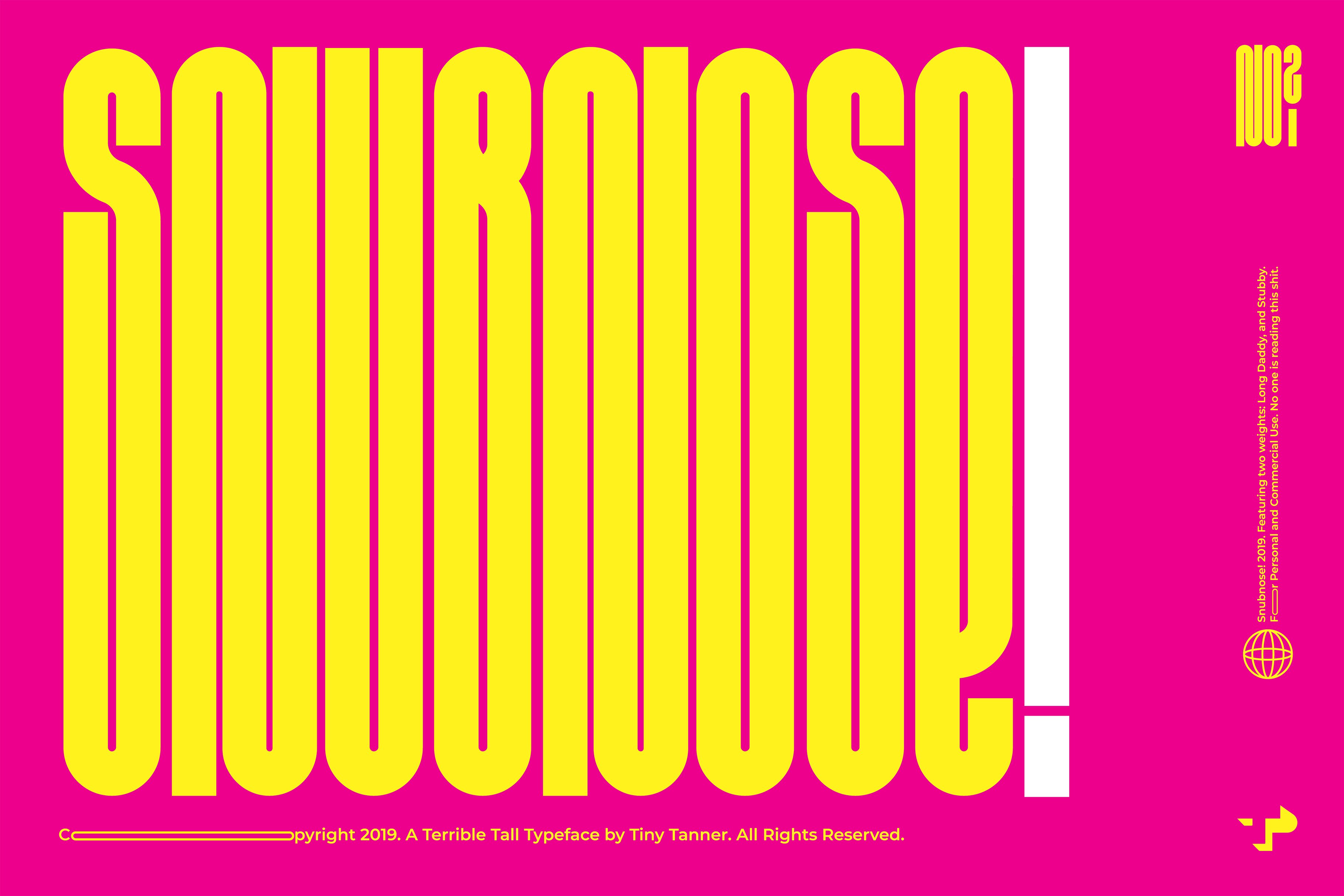 Snubnose! Display Typeface cover image.