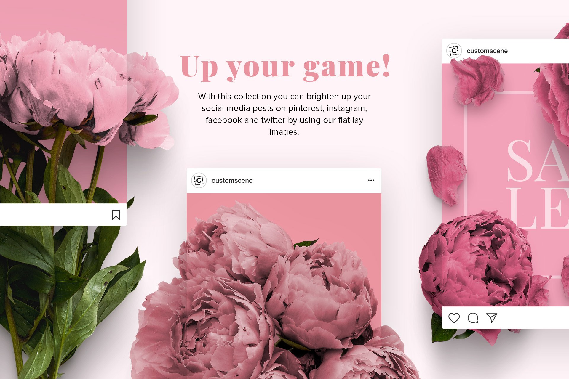 social media floral peonies collection customscene 928