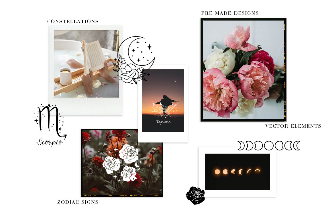 Floral moon & Zodiac Constellations preview image.