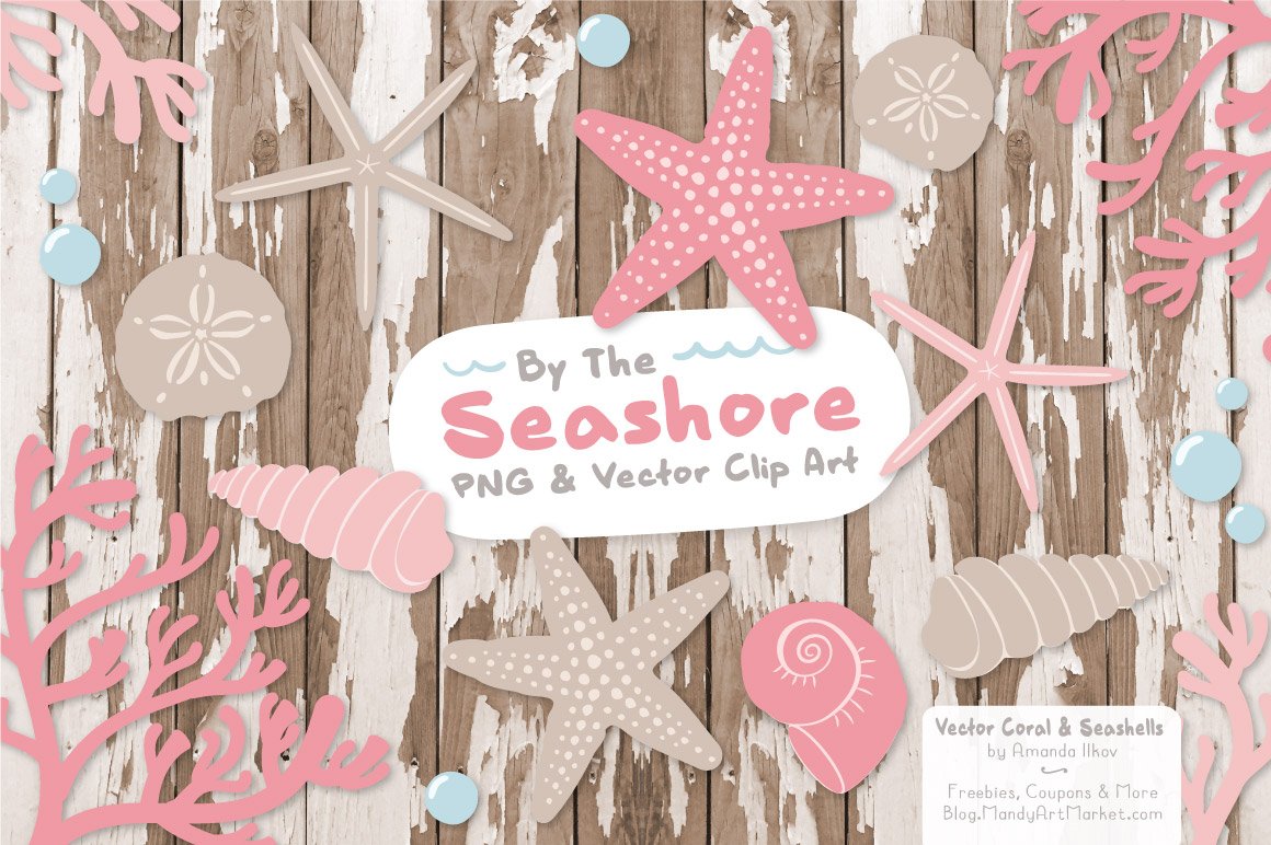 Seashells Clipart in Soft Pink preview image.