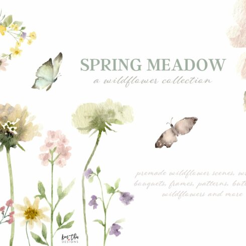 Spring Meadow Wildflower Collection cover image.