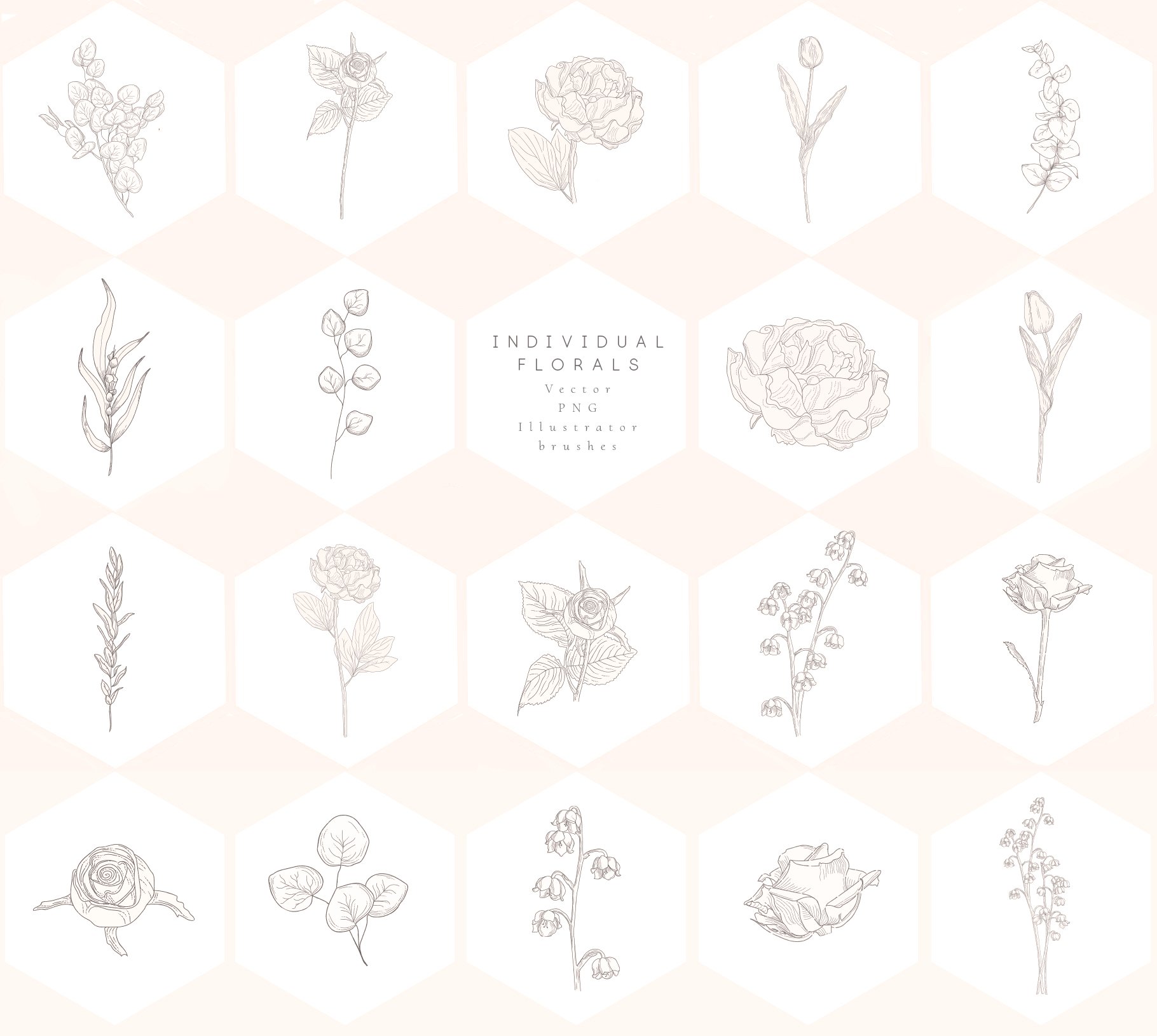 Floral Graphics, Logos, Patterns preview image.