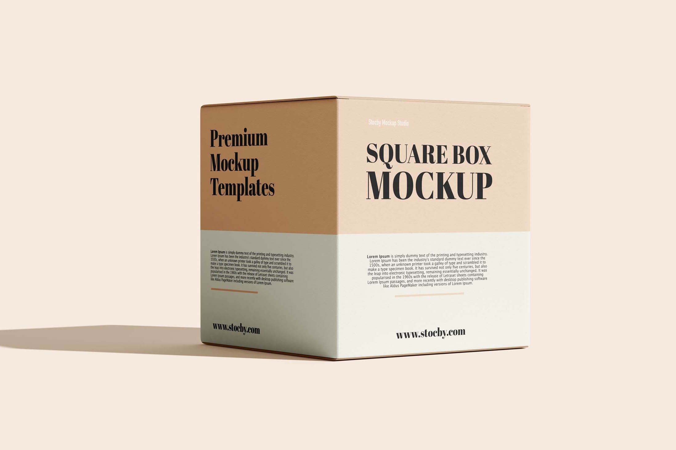 square packaging mockup 73