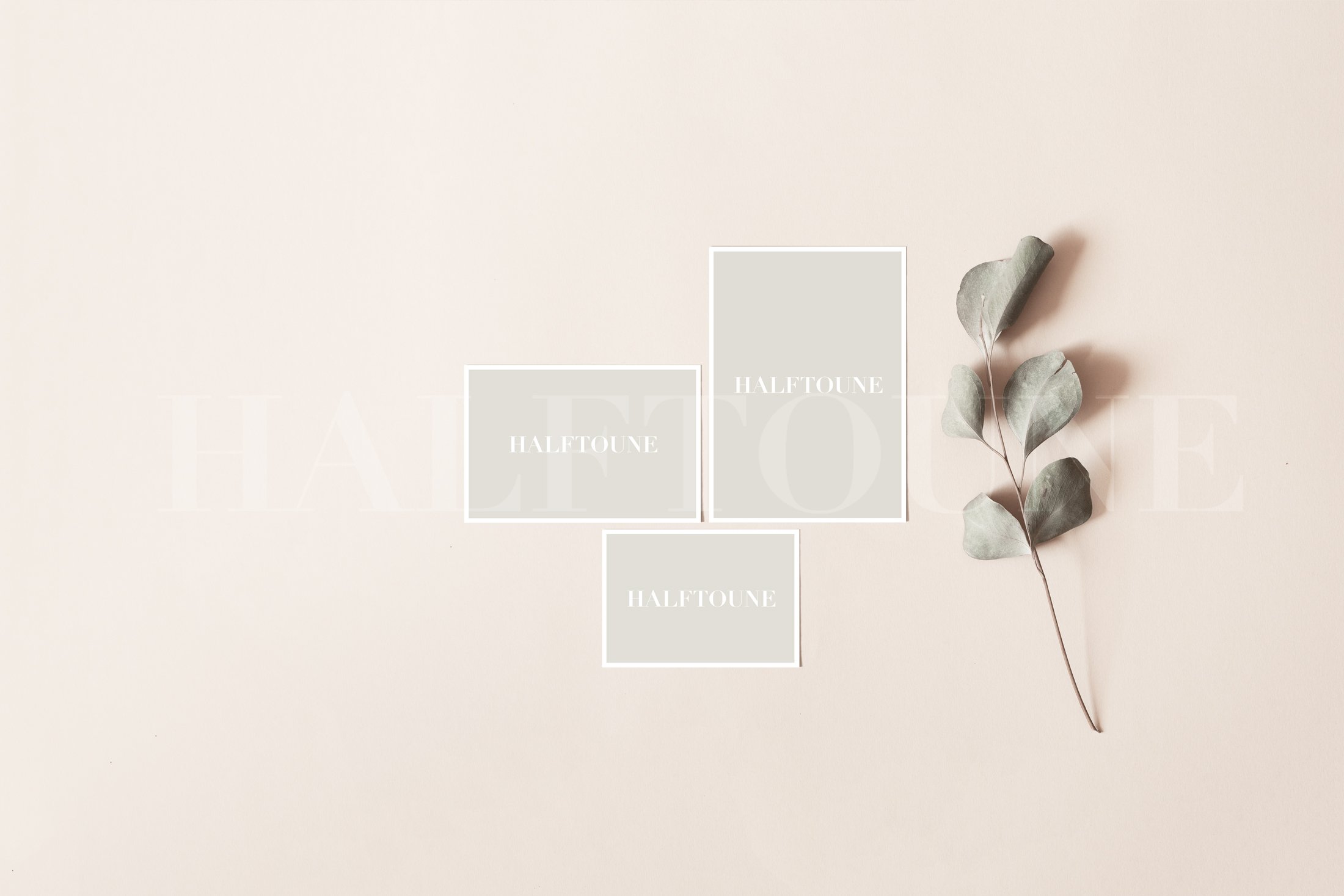 Stationery Mockup 4x6, 5x7, 3.5x5 preview image.
