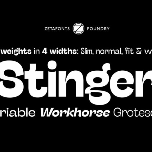 Stinger - 42 fonts cover image.