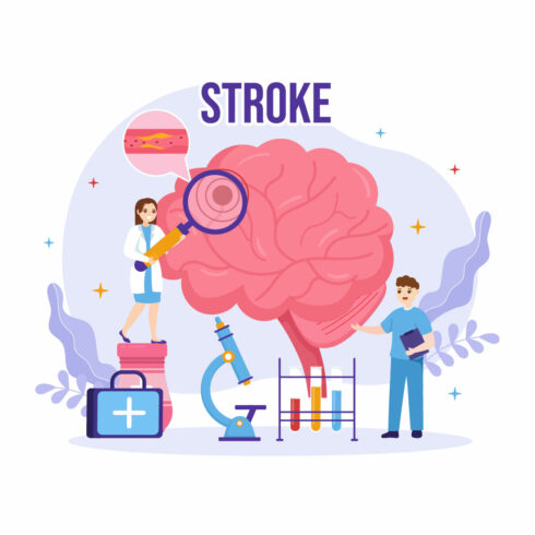 12 Human Brain Stroke Illustration cover image.