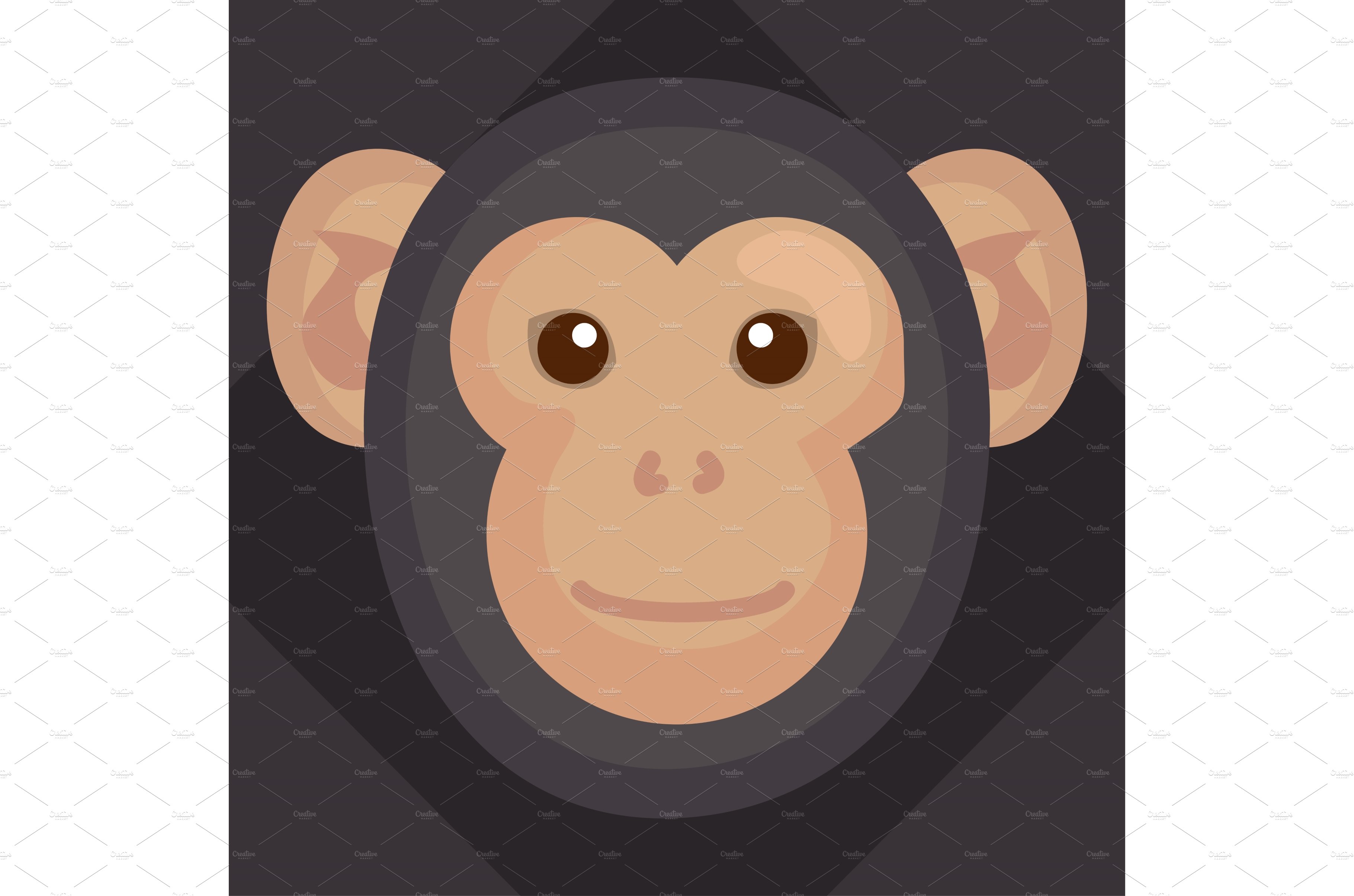chimpanzee monkey head animal cover image.