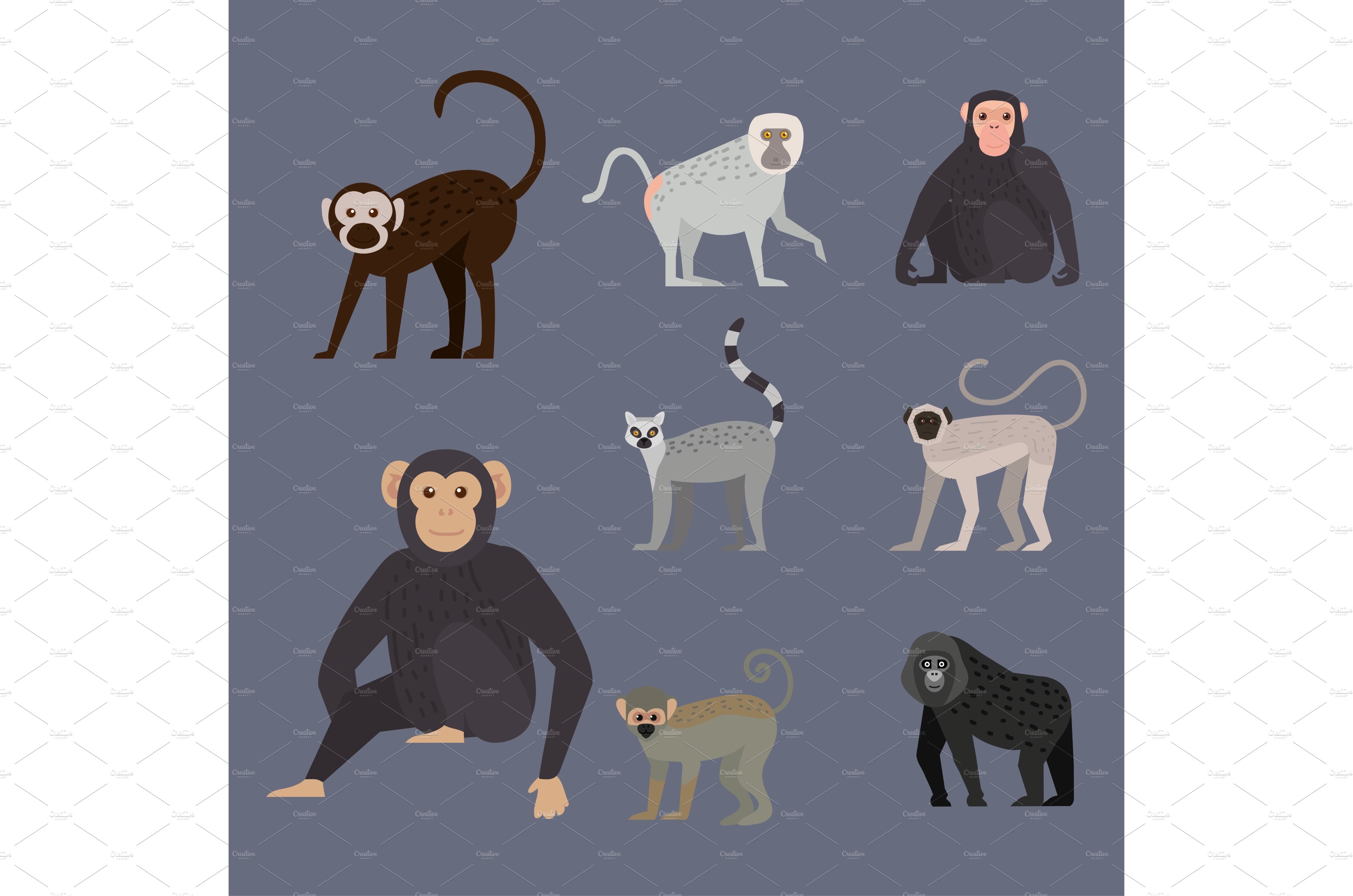 eight monkeys wildlife animals cover image.