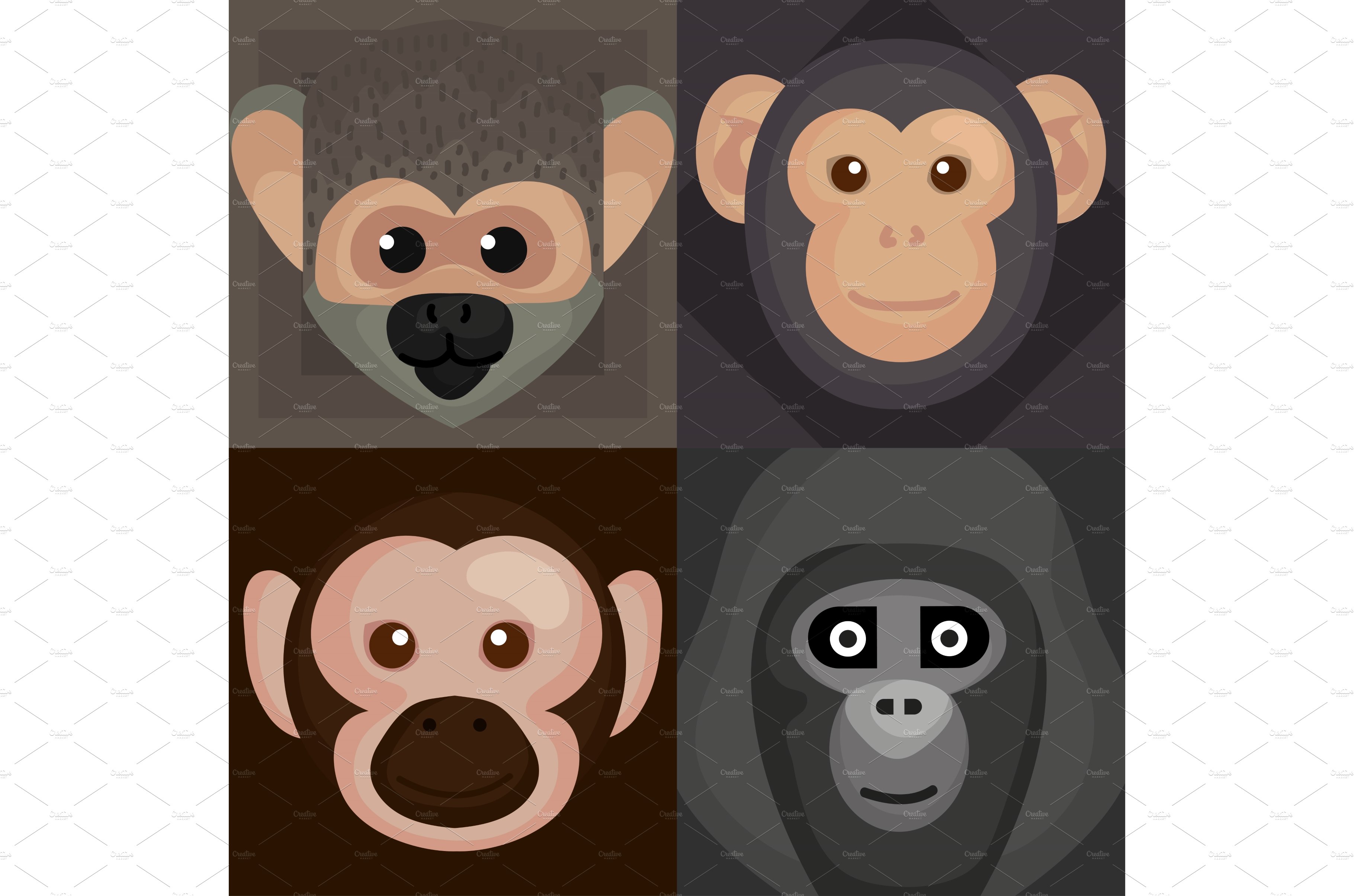 four monkeys wildlife animals cover image.