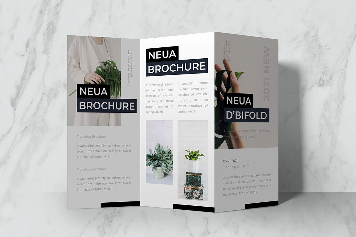 Neua Trifold Brochure preview image.