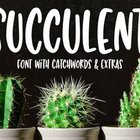 Succulent: a hand-lettered font cover image.