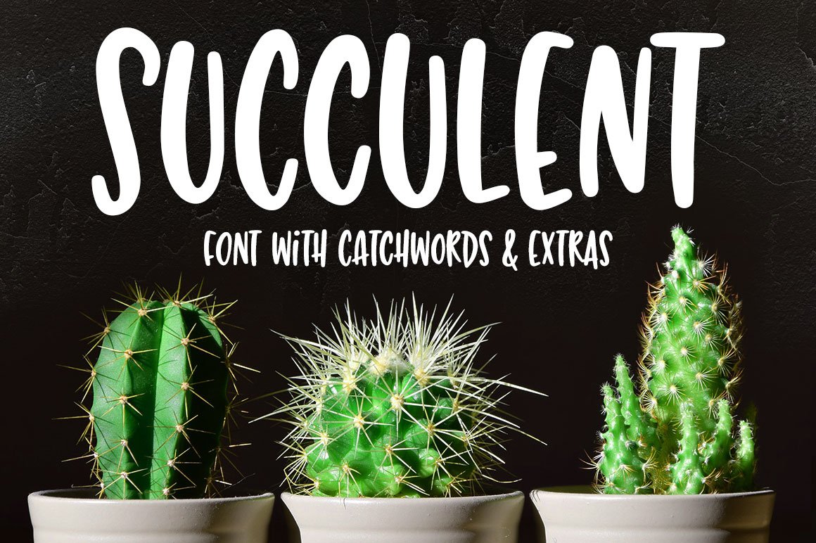 Succulent: a hand-lettered font cover image.