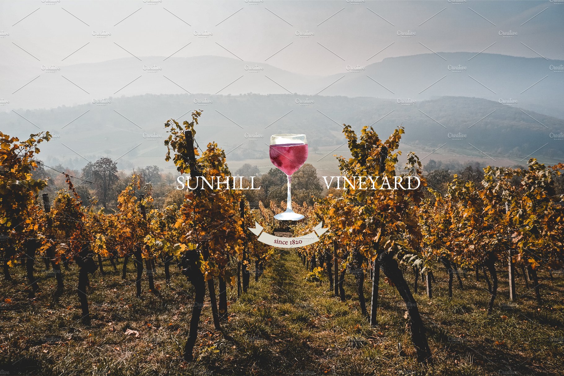 sunhill vineyard 01 285