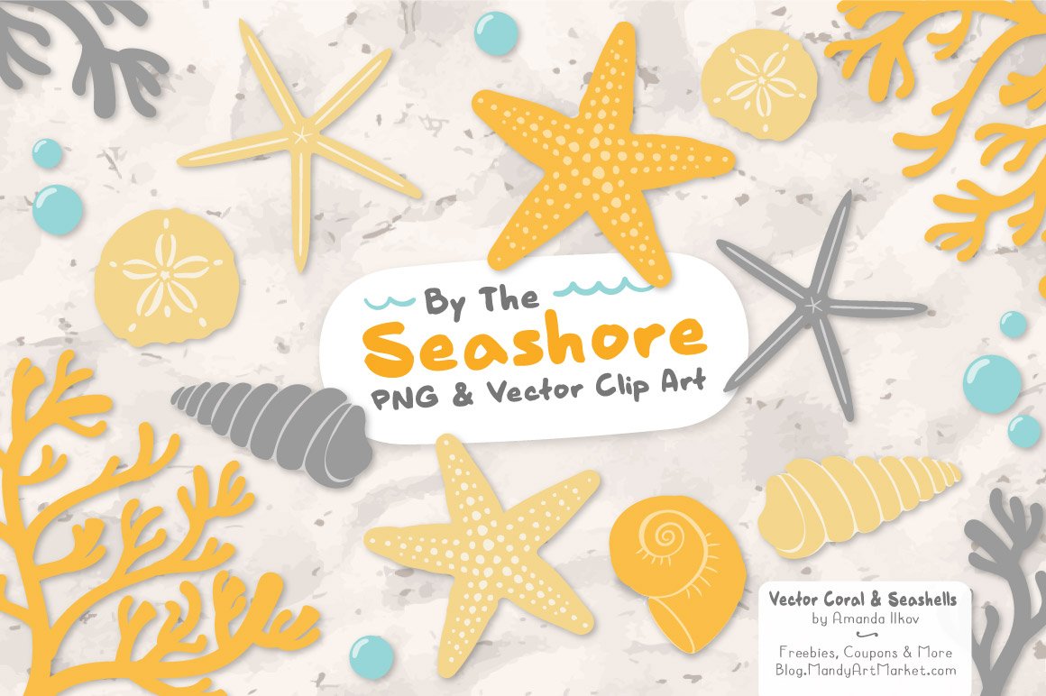 Sunshine Vector Seashells cover image.