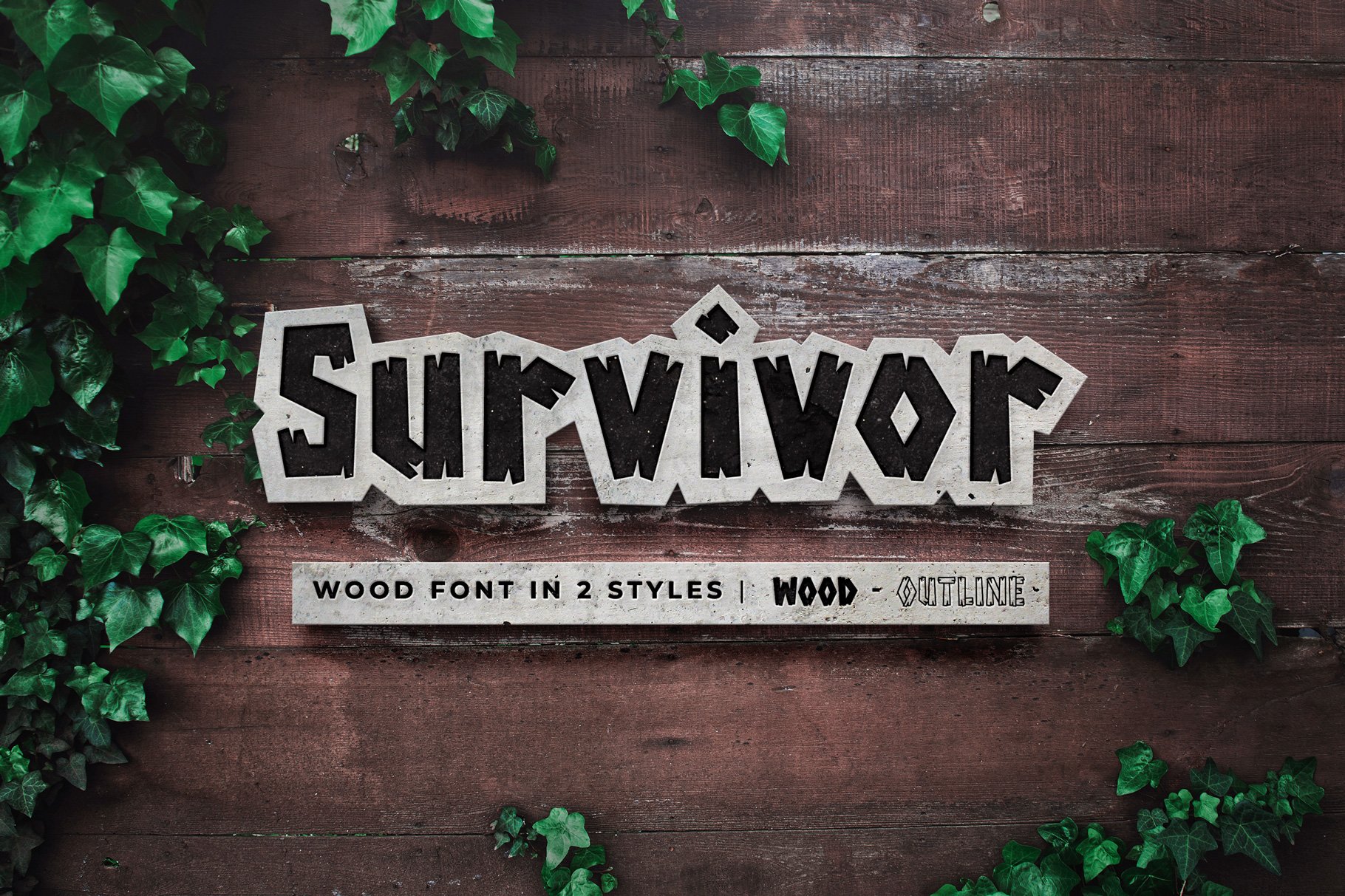 Survivor Wood Font cover image.