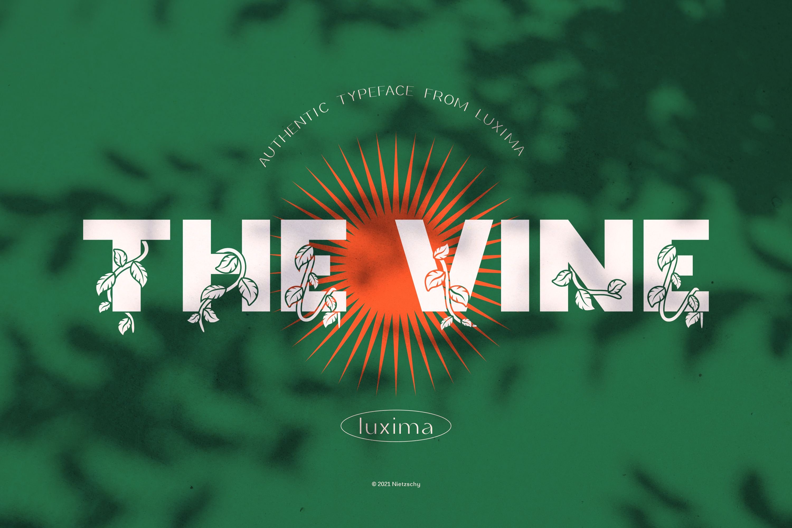 THE VINE DISPLAY FONT cover image.