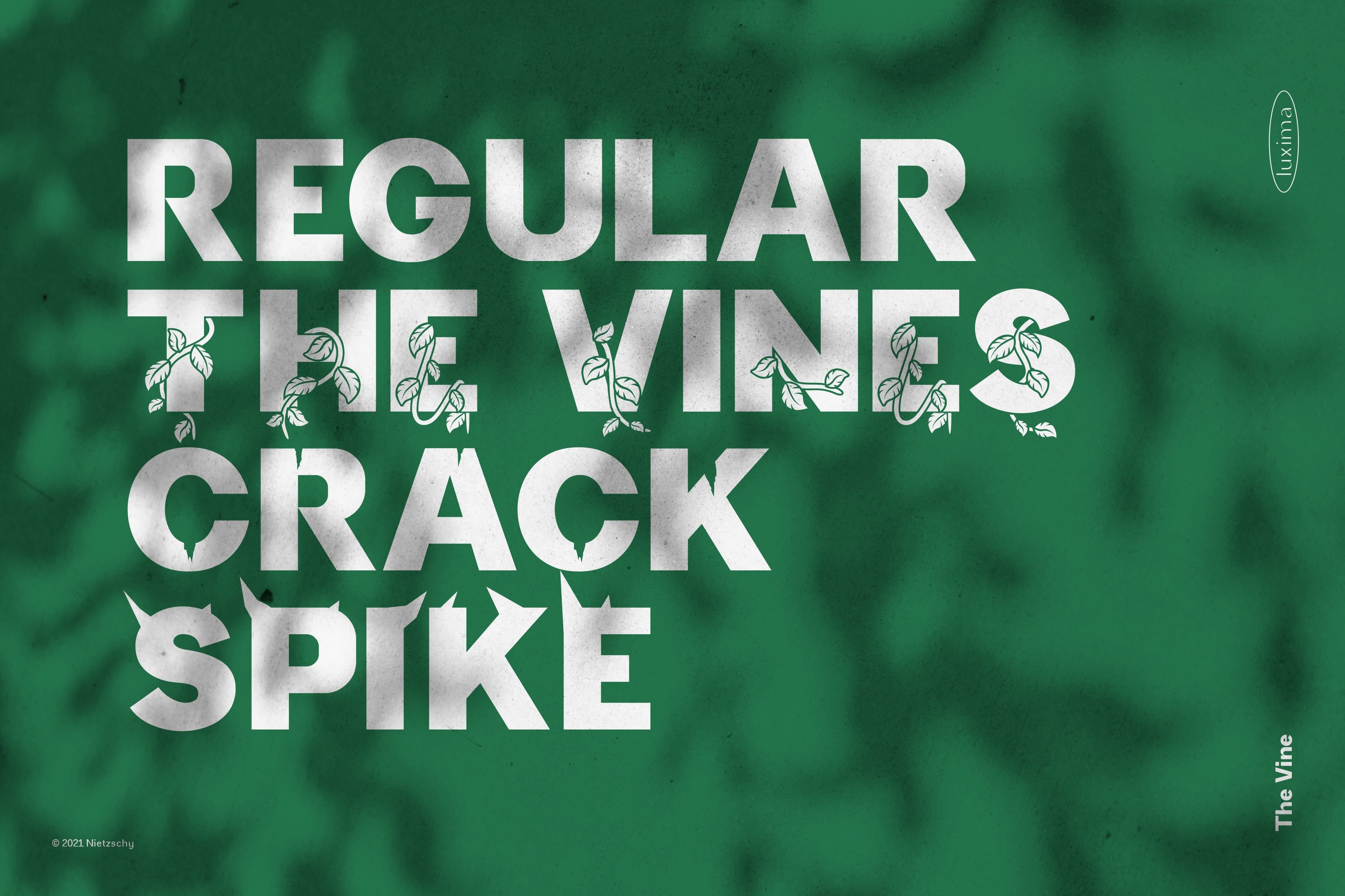 THE VINE DISPLAY FONT preview image.