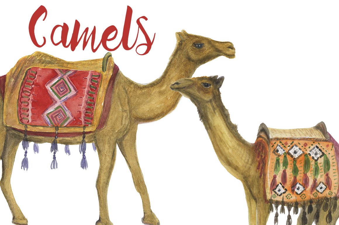 Watercolor Camels cover image.