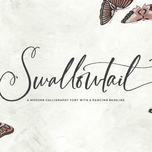Swallowtail Modern Calligraphy cover image.