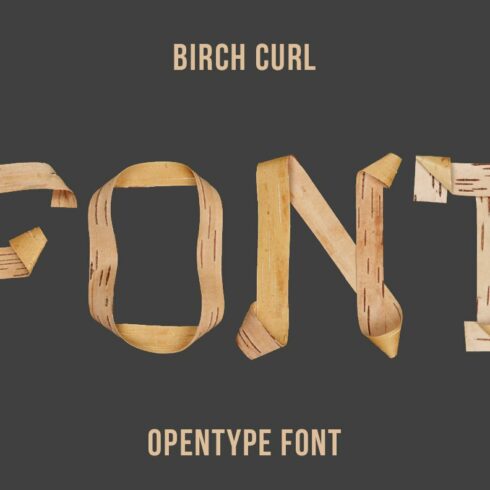 Birch Curl Font cover image.