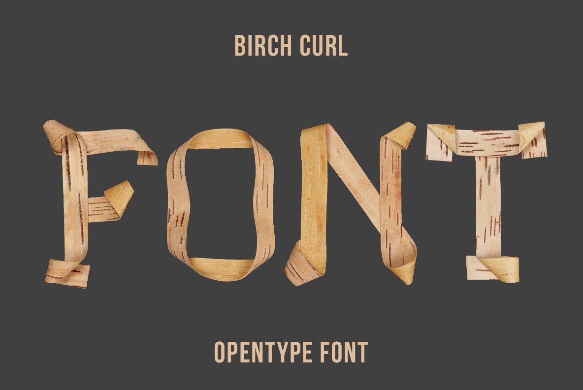 Birch Curl Font cover image.