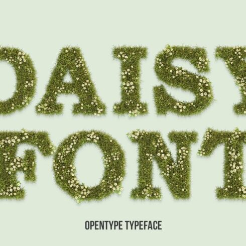 Daisy Font cover image.