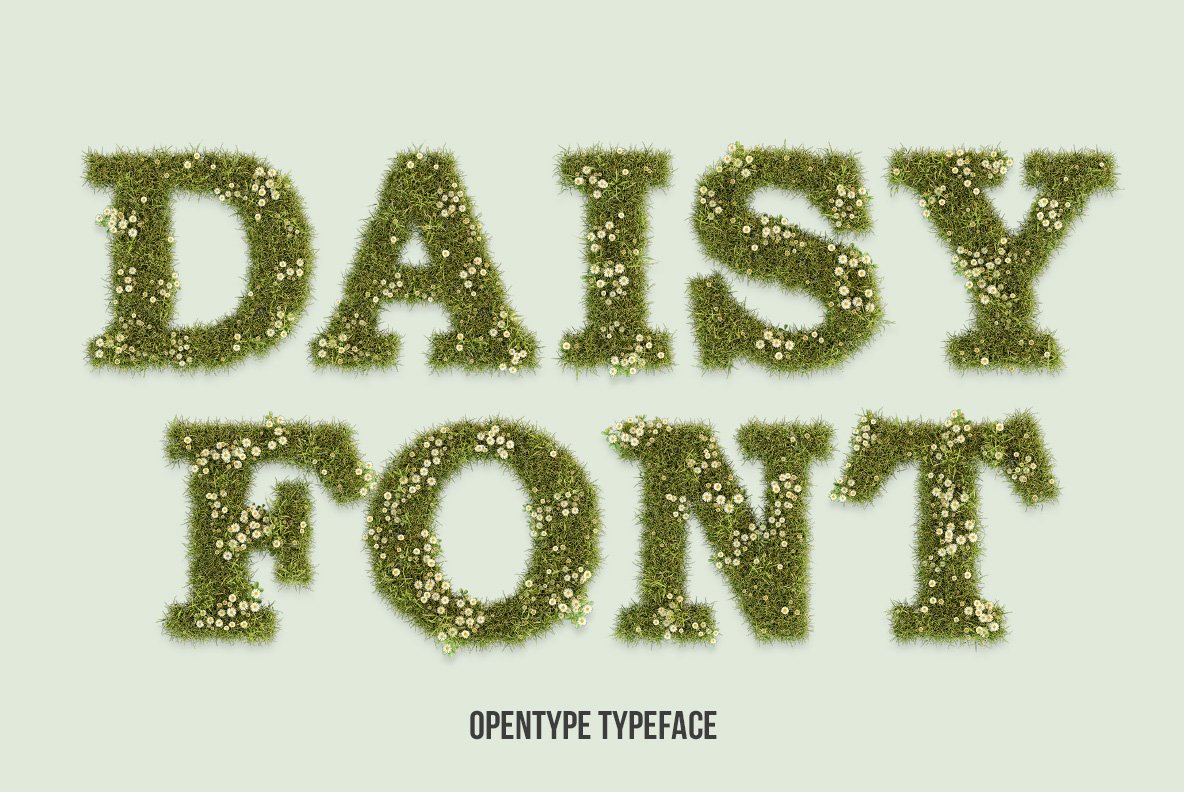 Daisy Font cover image.