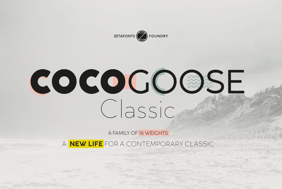 Cocogoose Classic - 16 fonts cover image.