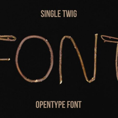 Single Twig Font cover image.