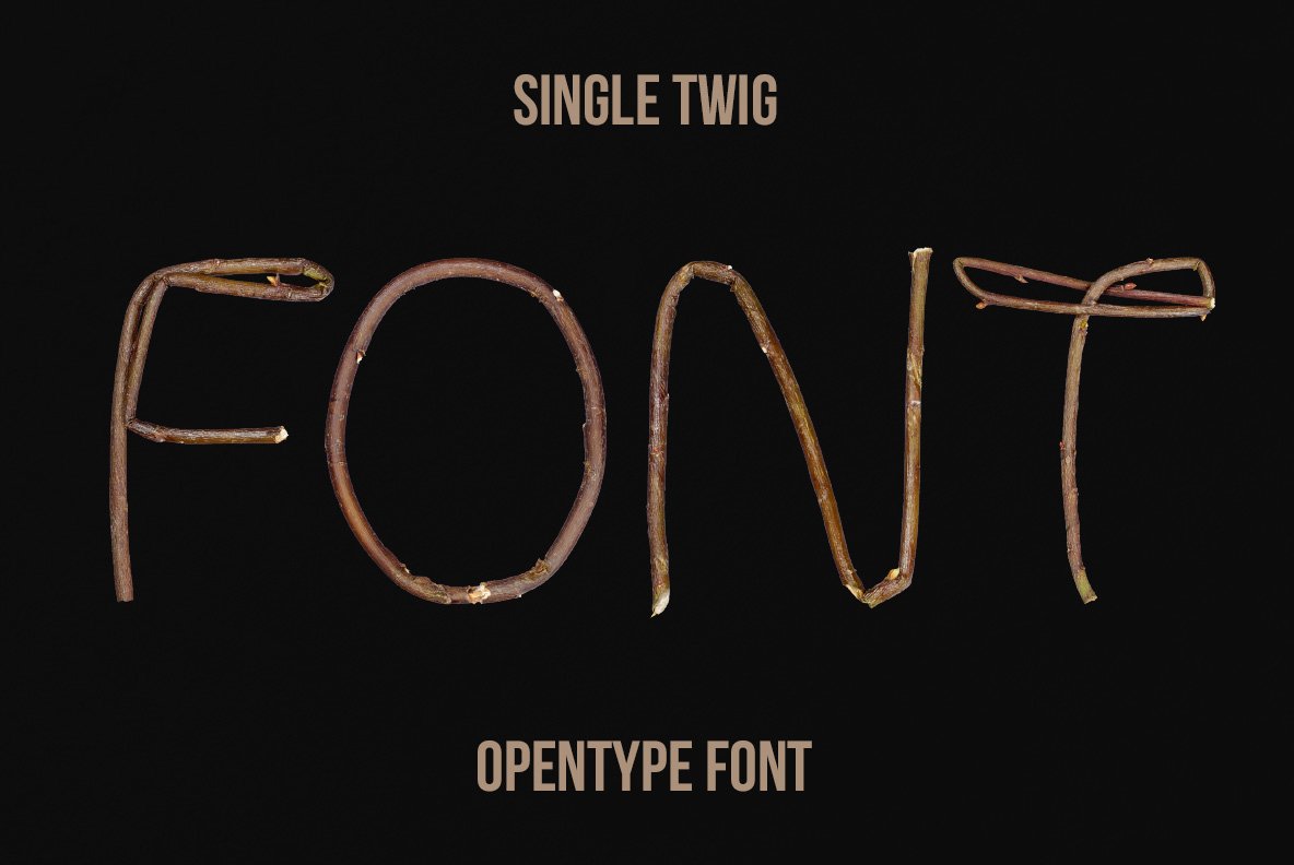 Single Twig Font cover image.