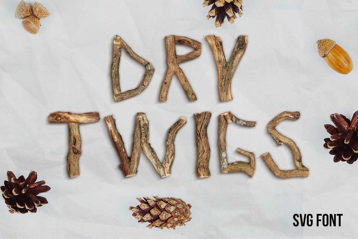 Dry Twigs Font cover image.