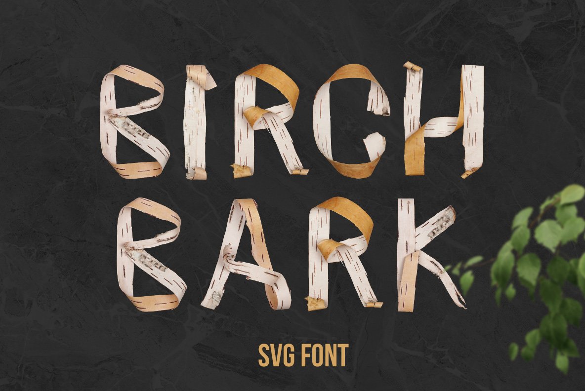 Birch Bark Font cover image.