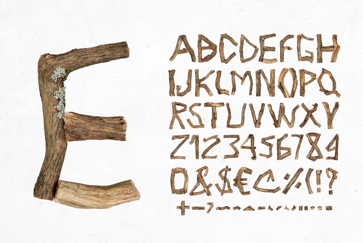 Dry Twigs Font preview image.