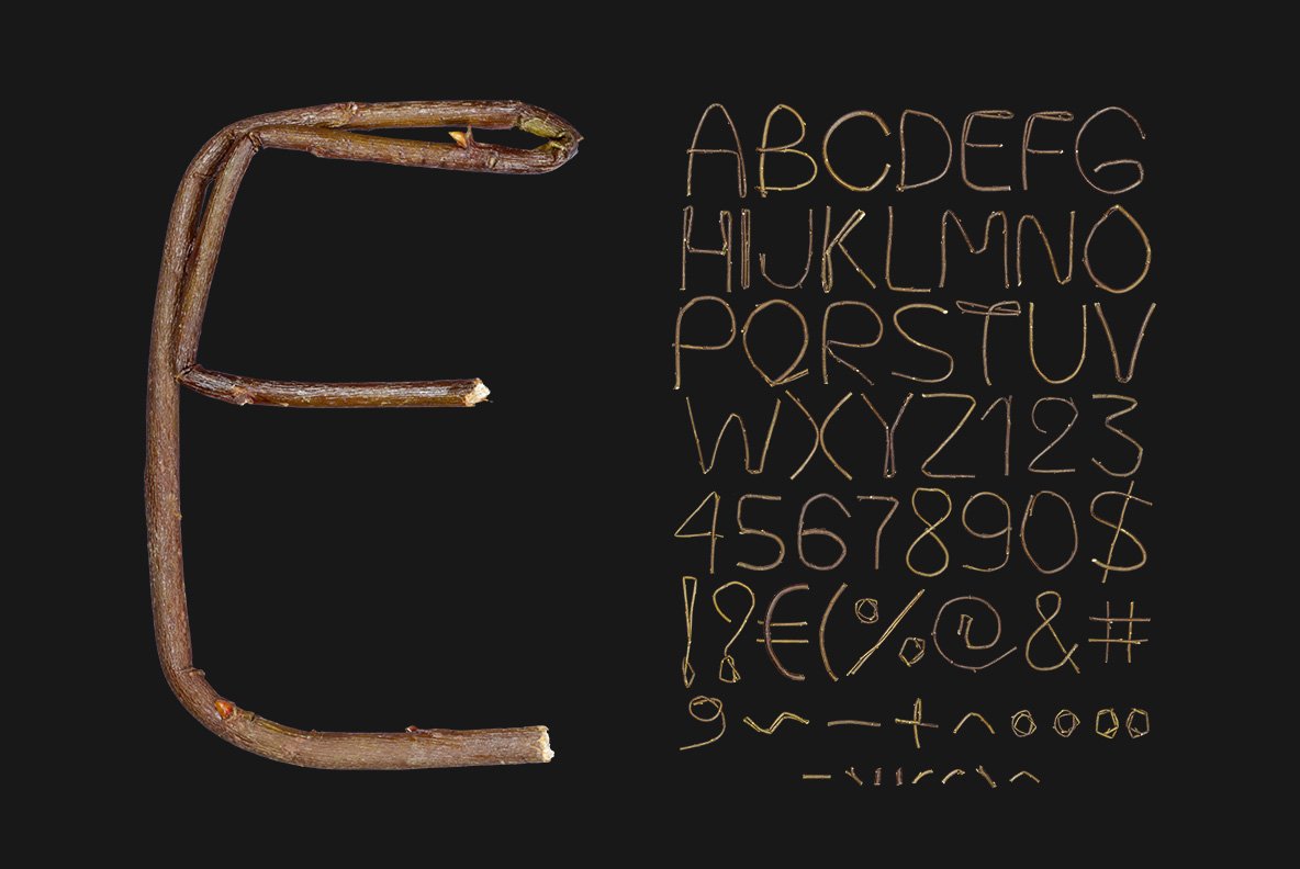 Single Twig Font preview image.