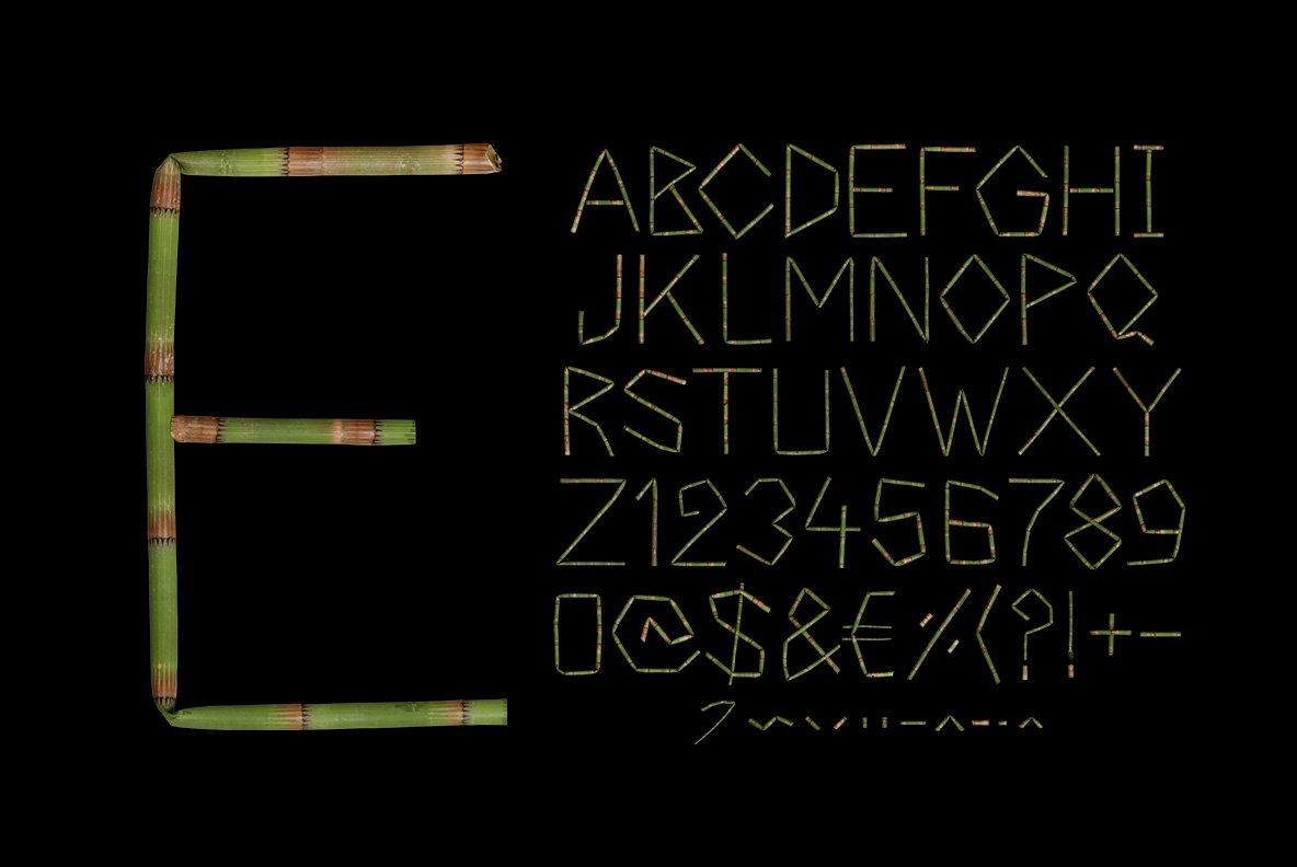 Bamboo Font preview image.