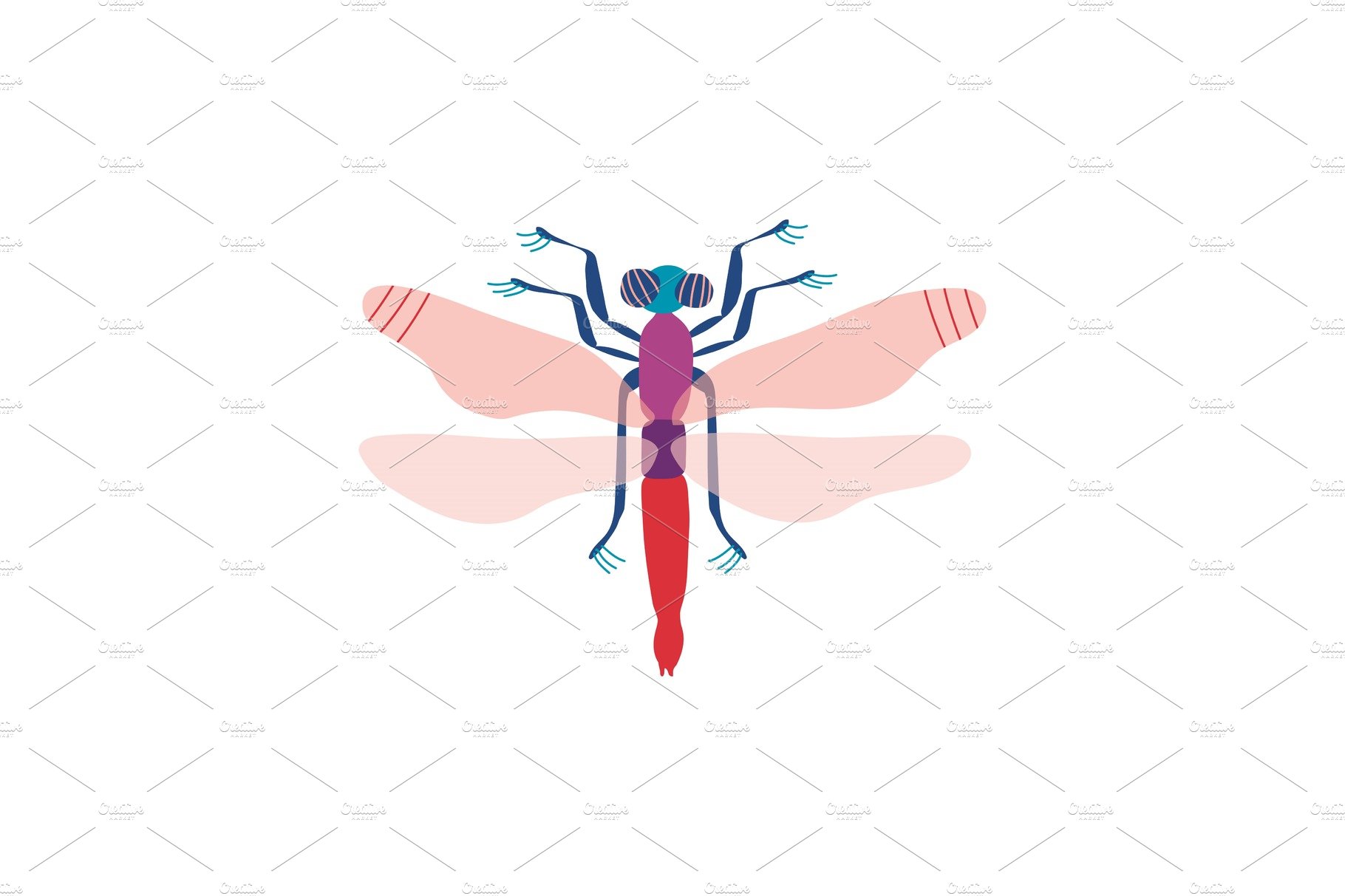 Cute Colorful Dragonfly Insect, Top cover image.