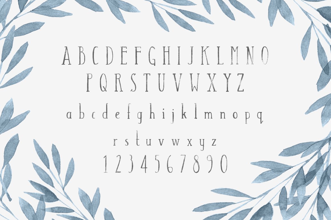 Tall Abbey Serif + 5 Logo Templates preview image.