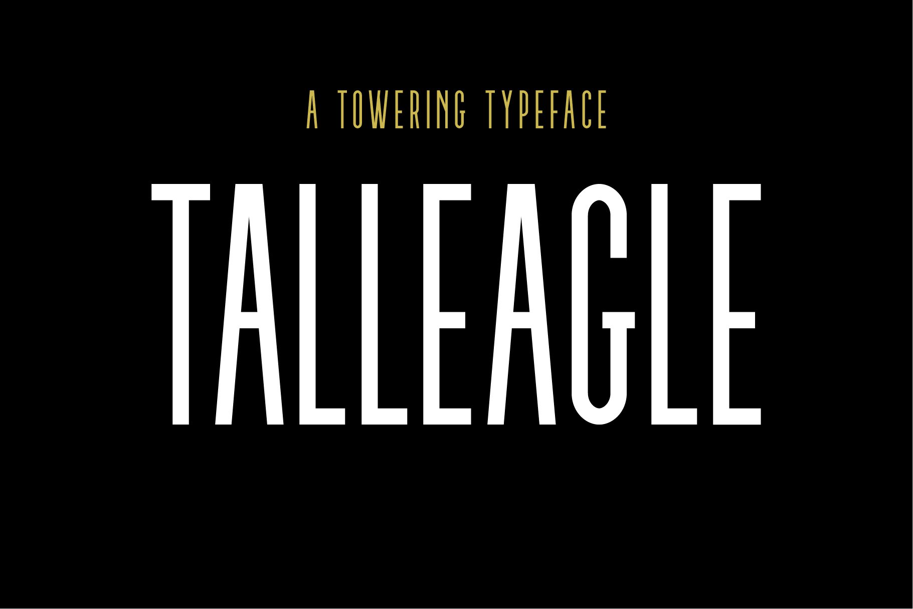 TallEagle cover image.