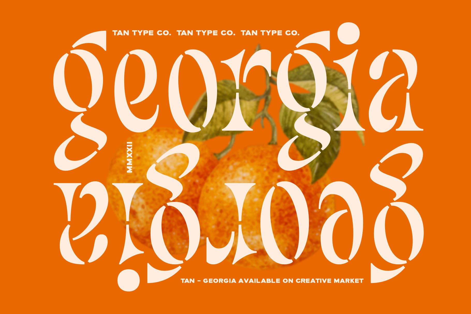 TAN - GEORGIA cover image.
