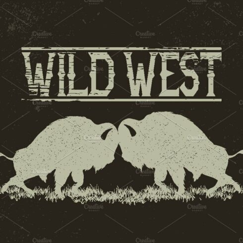 Wild west cover image.