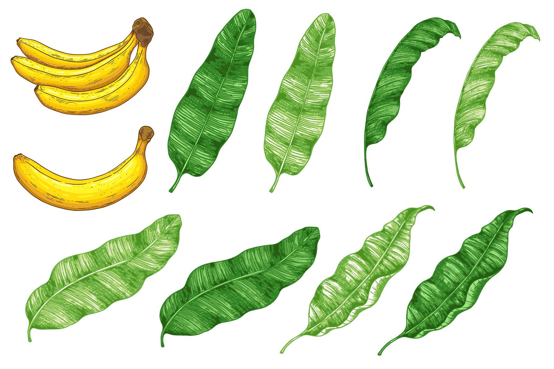 Banana Design Kit preview image.