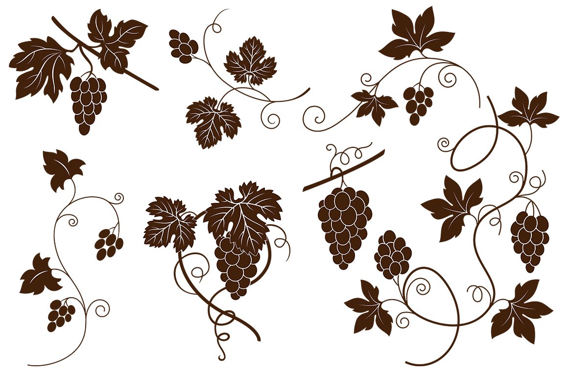 Decorative Vine Branches preview image.