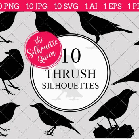 Thrush silhouette vector graphics cover image.