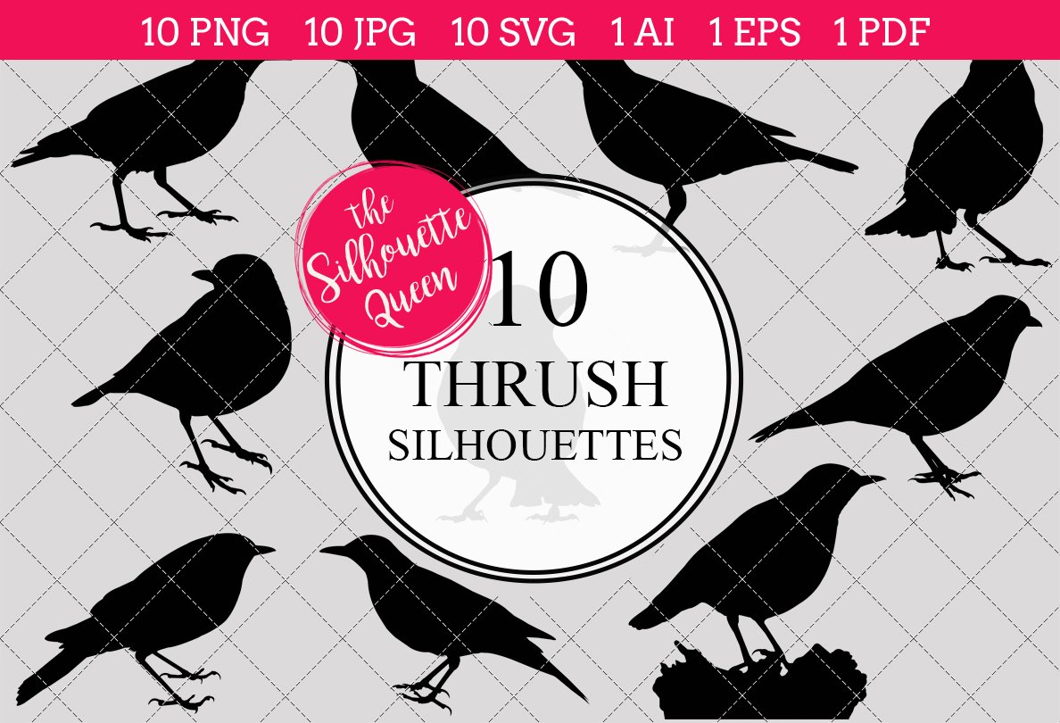 Thrush silhouette vector graphics cover image.