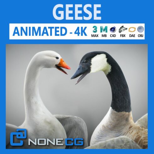 Animated Geese cover image.