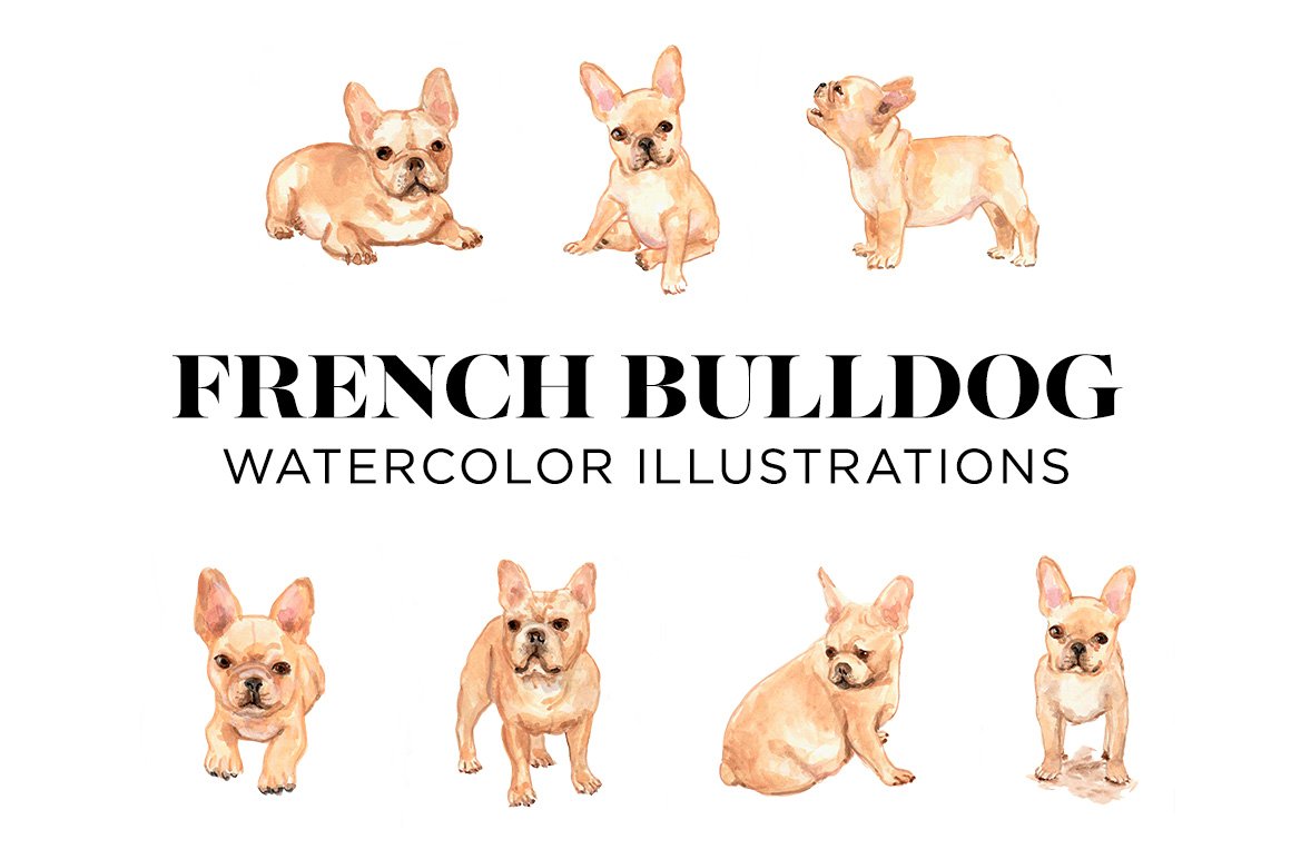 French Bulldogs cover image.