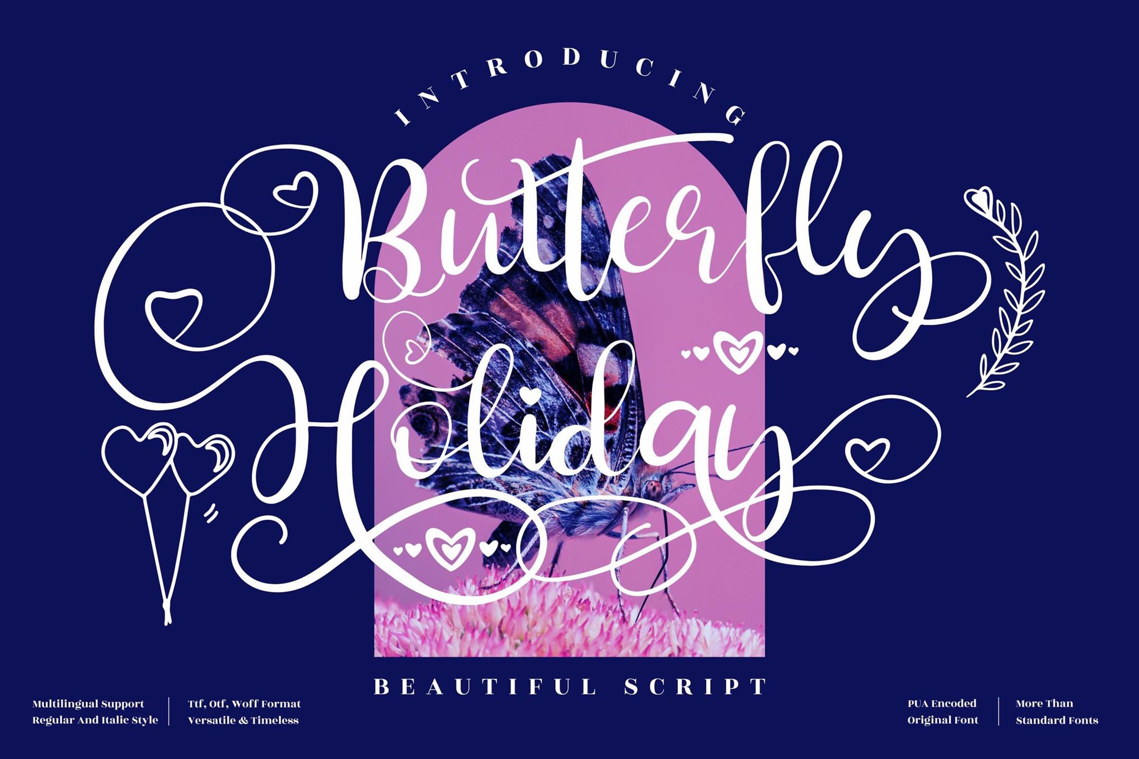 Butterfly Holiday Script LS cover image.