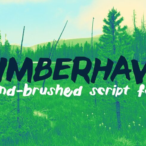Timberhavn Thick Brush Font cover image.