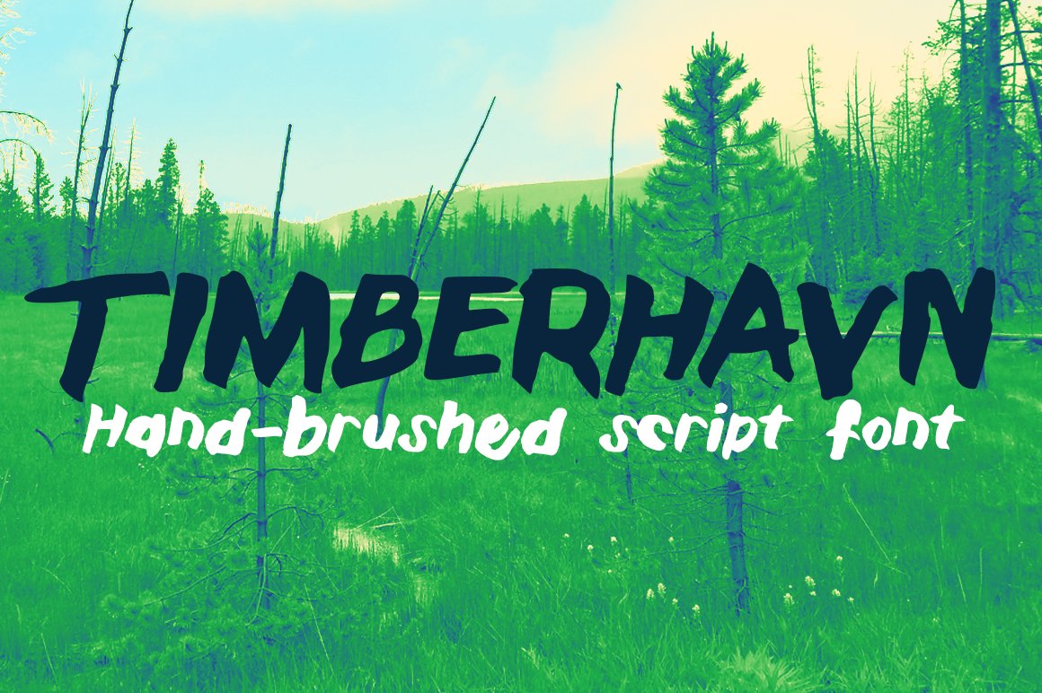 Timberhavn Thick Brush Font cover image.